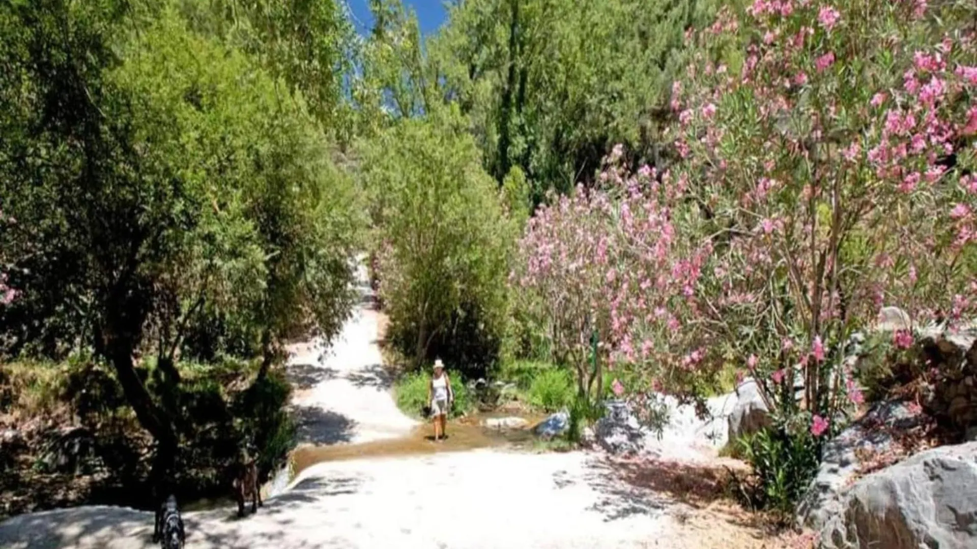 Belvilla By Oyo Villa In Arenas With Private Pool 0*, أريناس